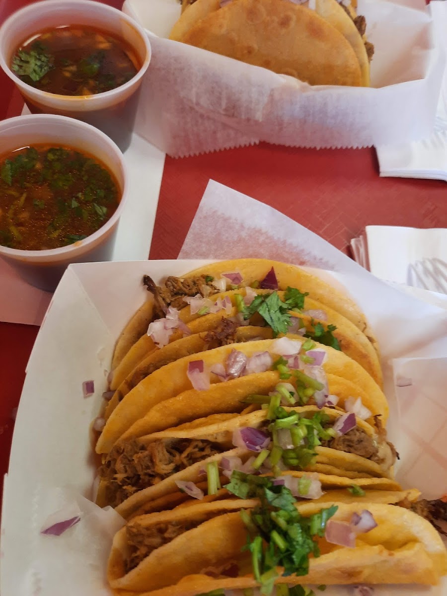 Taste Of Latin America Photos 2